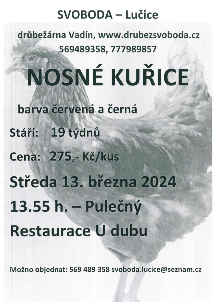 Nosné kuřice