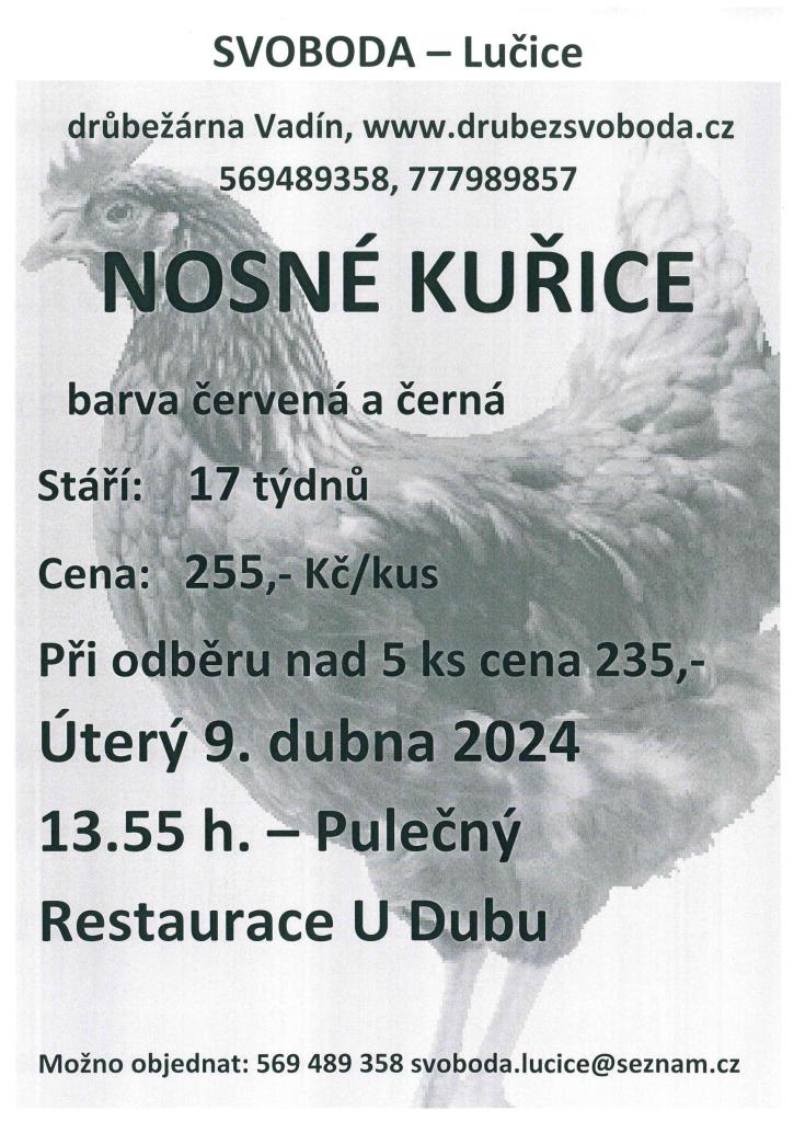 Prodej slepic