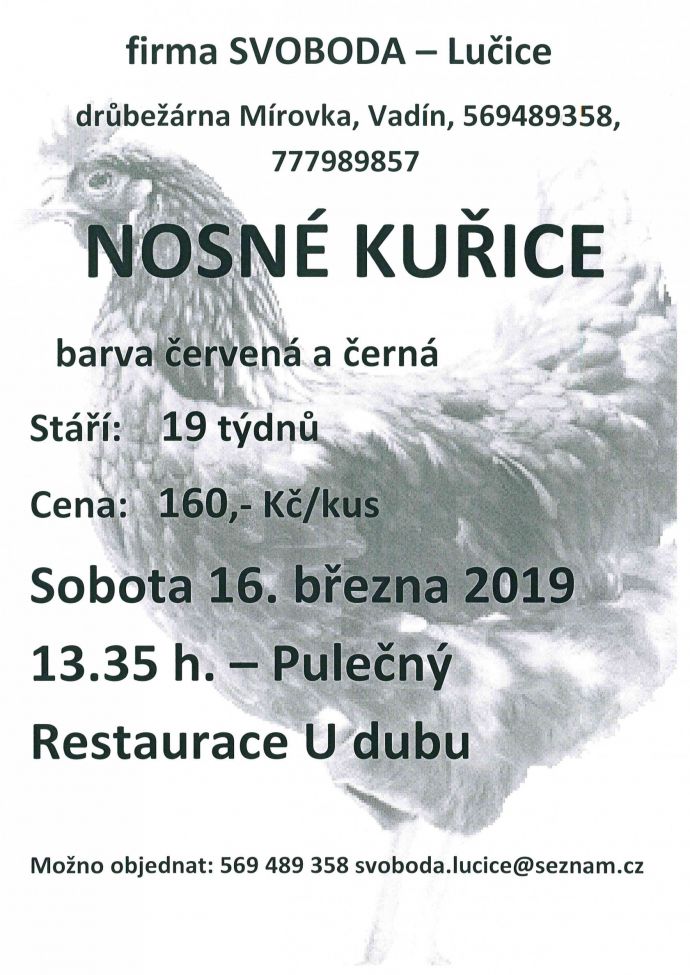 prodej nosných kuřic