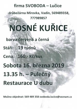 prodej nosných kuřic