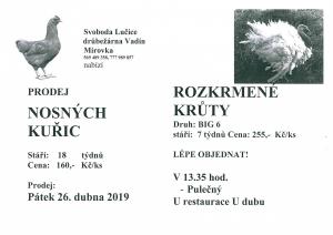 Prodej nosných kuřic
